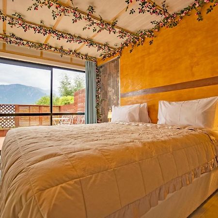 Waikoura Springs Bed & Breakfast Кайкура Екстериор снимка