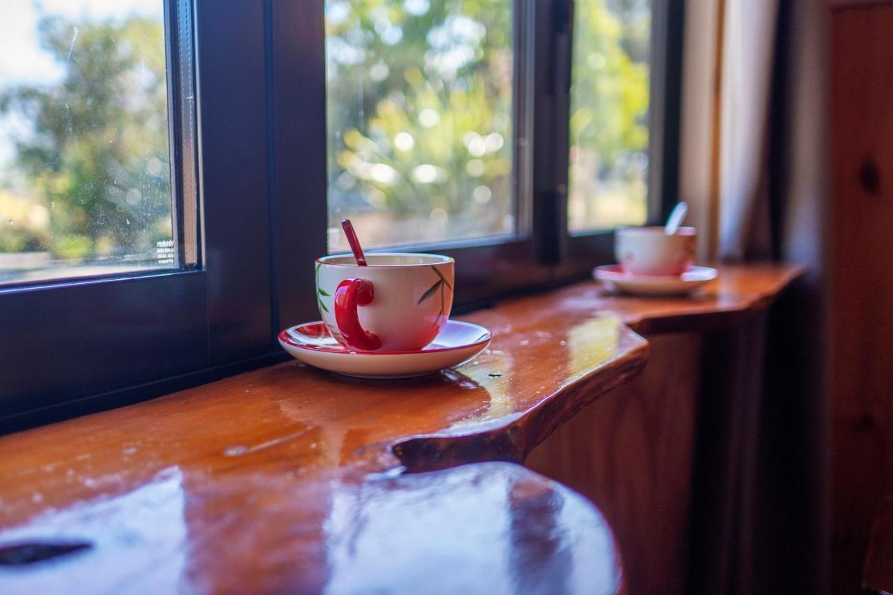Waikoura Springs Bed & Breakfast Кайкура Екстериор снимка